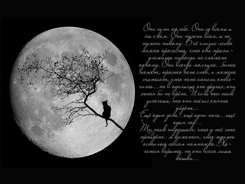 Оля Пантера | 