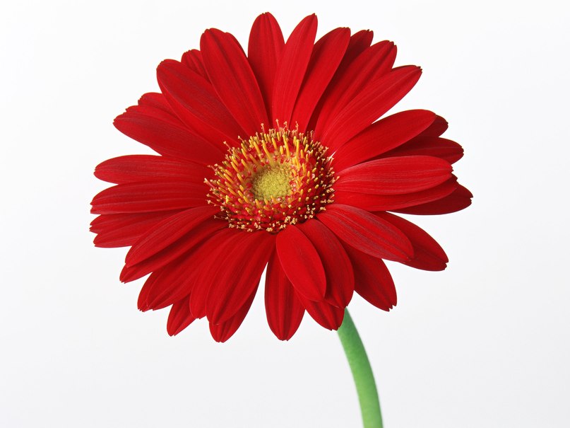 Маргарита Осипова | Хабаровск