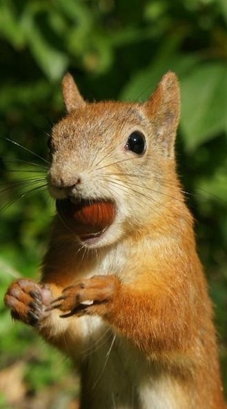 №10, Константин Бутько, 36 лет, Киев №10, Константин Бутько, 36 лет, Киев