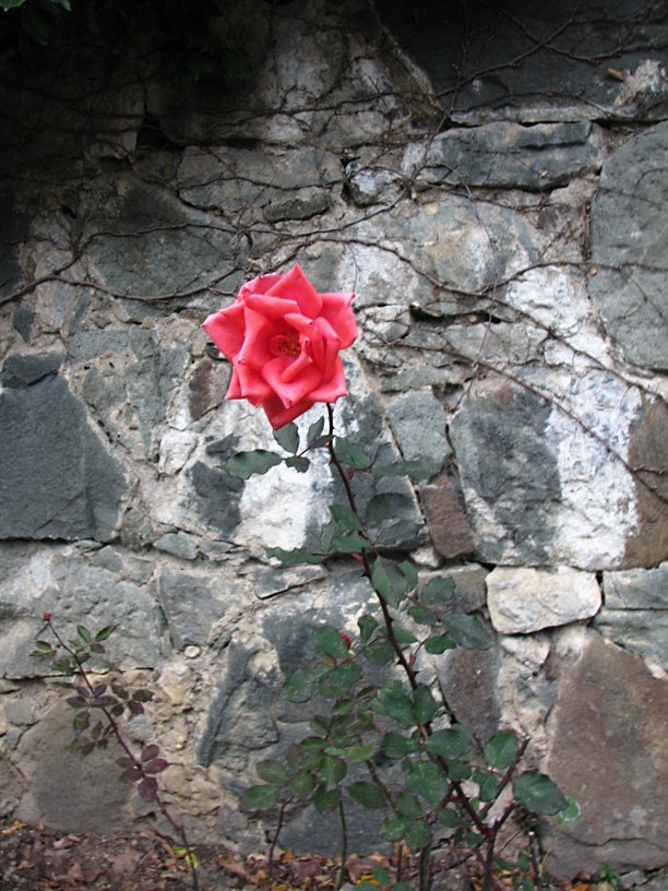 Наталья Иванова | 