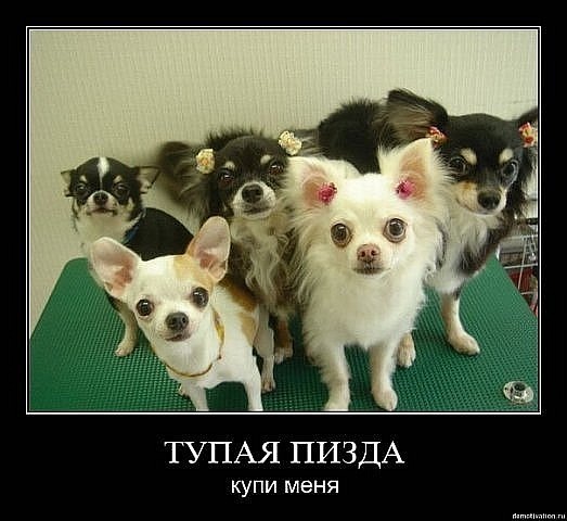 №63, Оля Филоненко, Киев №63, Оля Филоненко, Киев