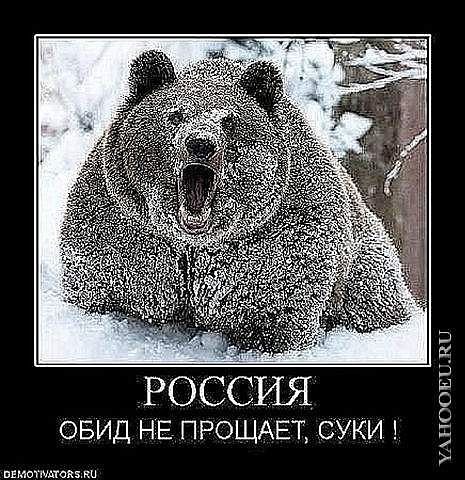 Роман Мелешкин | Донской