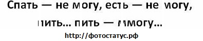 №44, Михаил Братусь, Днепр (Днепропетровск) №44, Михаил Братусь, Днепр (Днепропетровск)