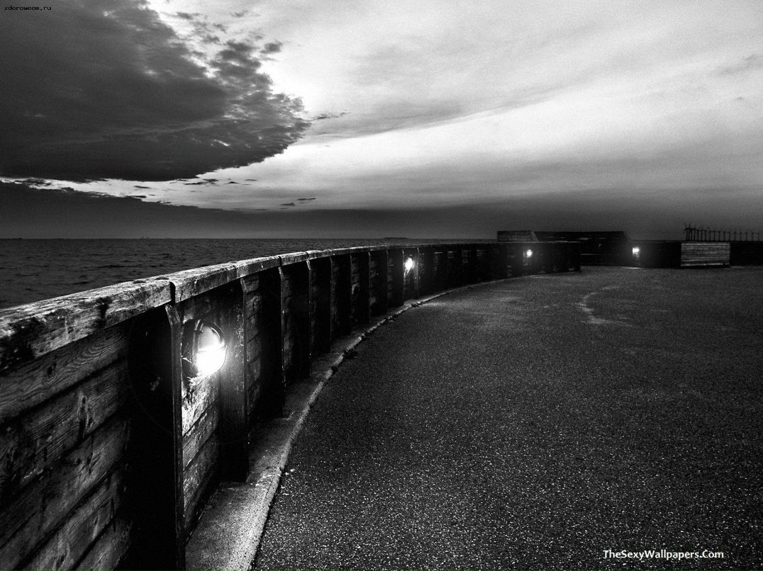 Антон Рыжков | Ломоносов