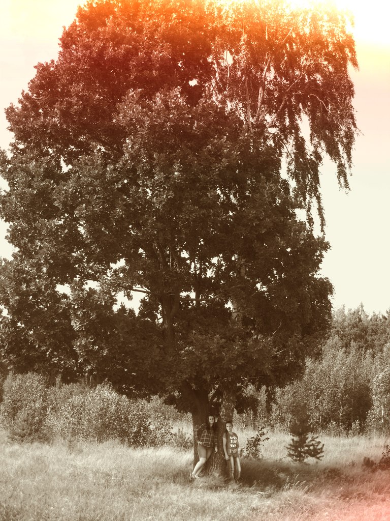 Екатерина Маева | 