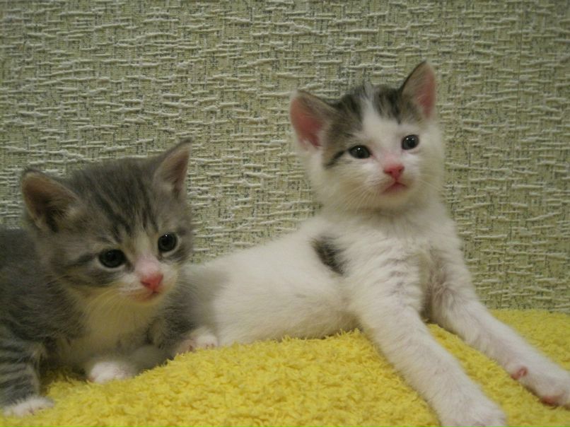 Наталья Кожевникова | Санкт-Петербург