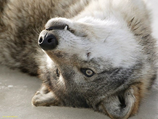 Лександра Кандалинцева | Одесса