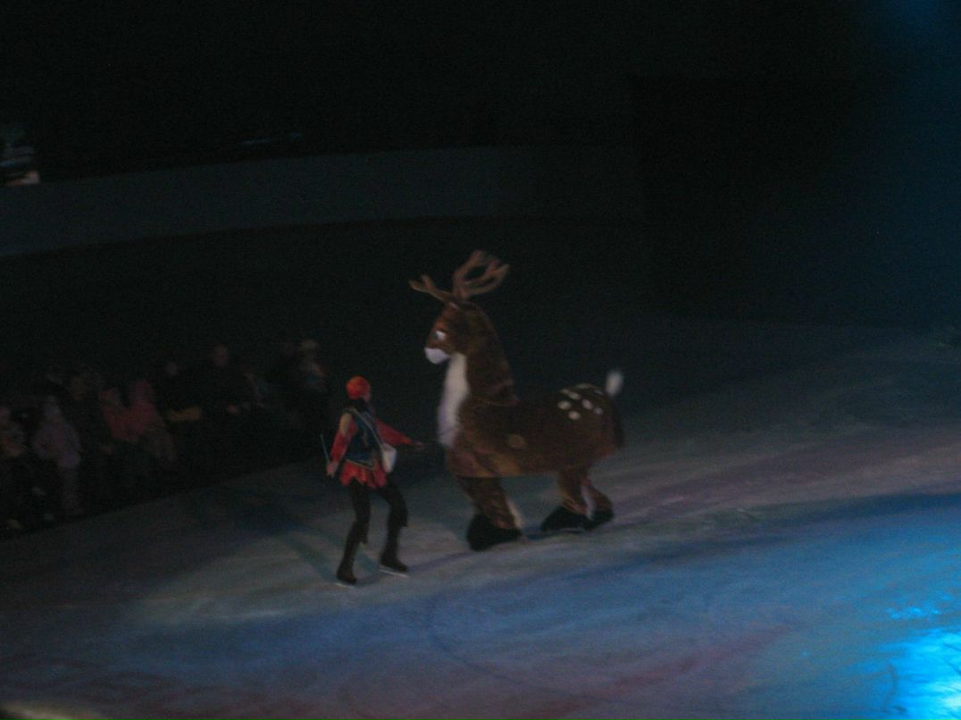 Алексей Киселёв | Новомосковск