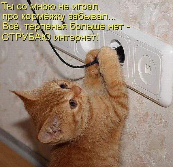 Игорь Булгаков | Орёл