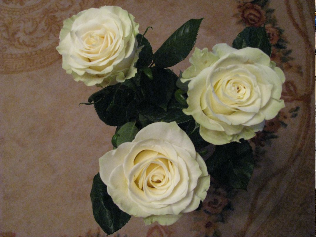 Марина Мельничук | Санкт-Петербург