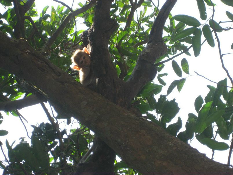 №79, Сергей Попов №79, Сергей Попов