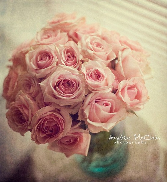 №24, Алёёёёнка Мажорик, Одесса №24, Алёёёёнка Мажорик, Одесса