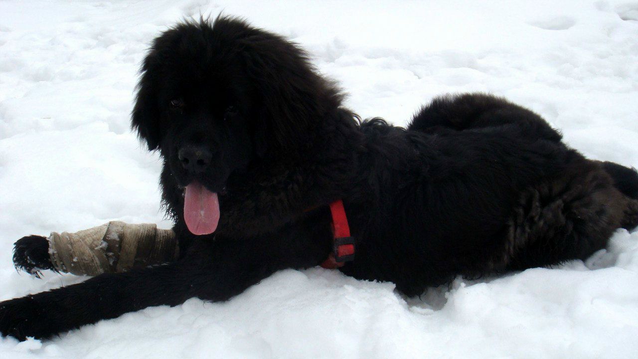 Юлия Шуматова Алексеевна | Нижний Новгород