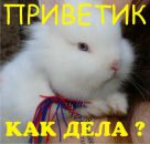 №3 Мос ****** : профиль, фото, статус - ВКонтакте №3 Мос ****** : профиль, фото, статус - ВКонтакте