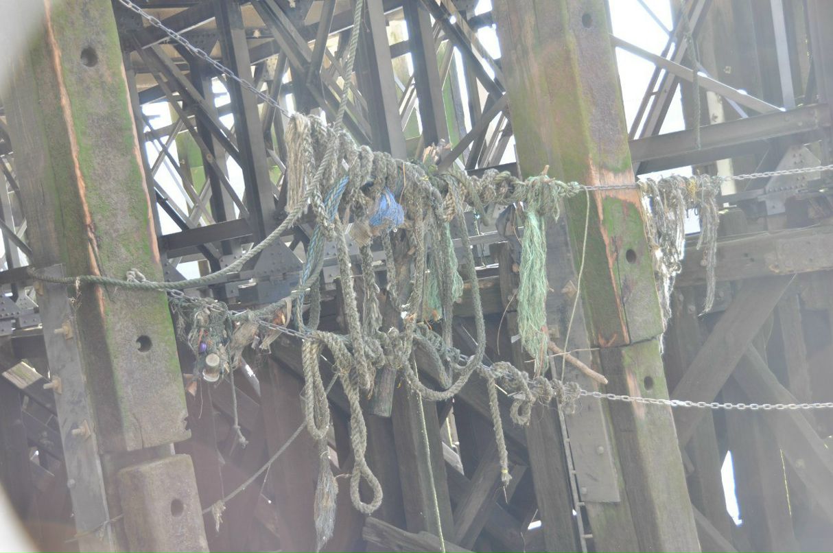 Ольга Новохатская | Paris