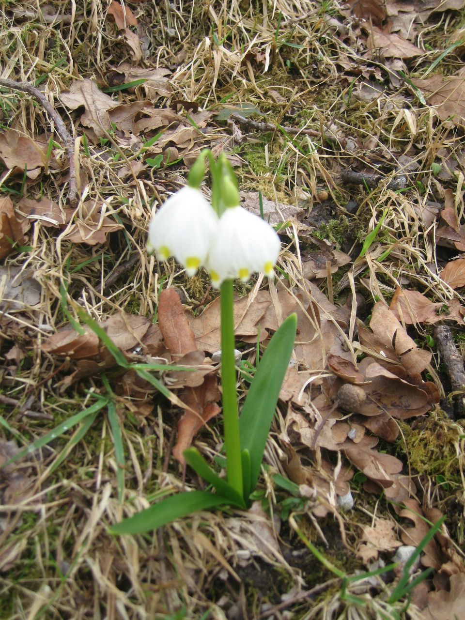 Anna Denk | Москва
