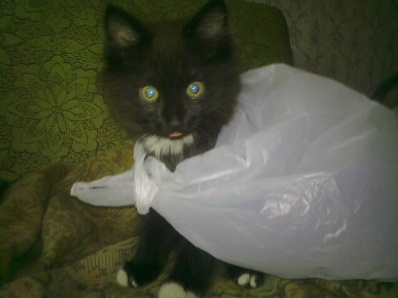 Artem Karpukhin _Archie_ | Вологда