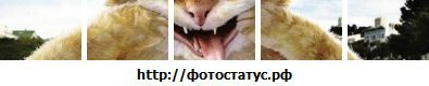 Фотография Леонид Ваврух