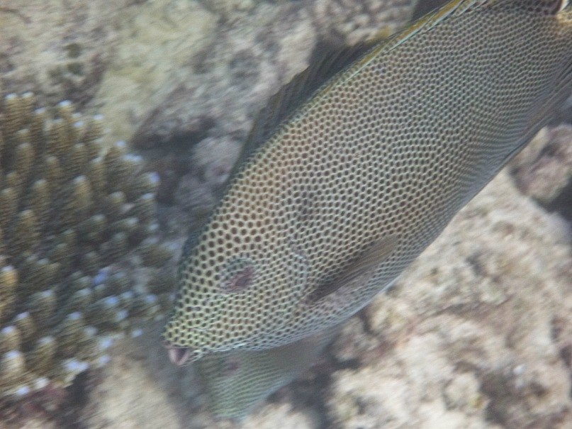 Федор Арефьев | Ярославль