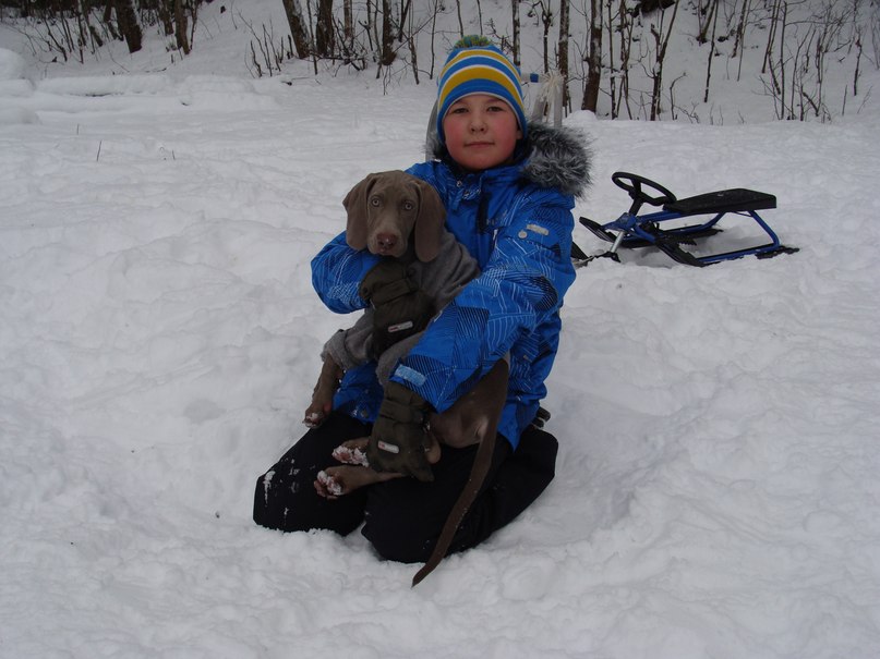 Михаил Макеев | Санкт-Петербург