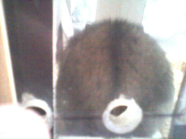 №32, Настя Брылина, Ульяновск №32, Настя Брылина, Ульяновск