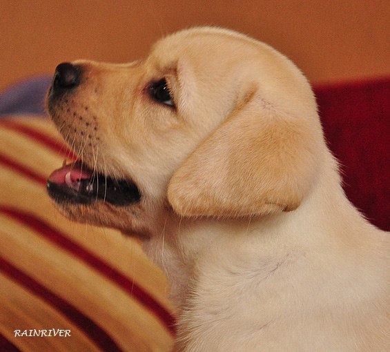 Екатерина Ильина Евгеньевна | Николаев