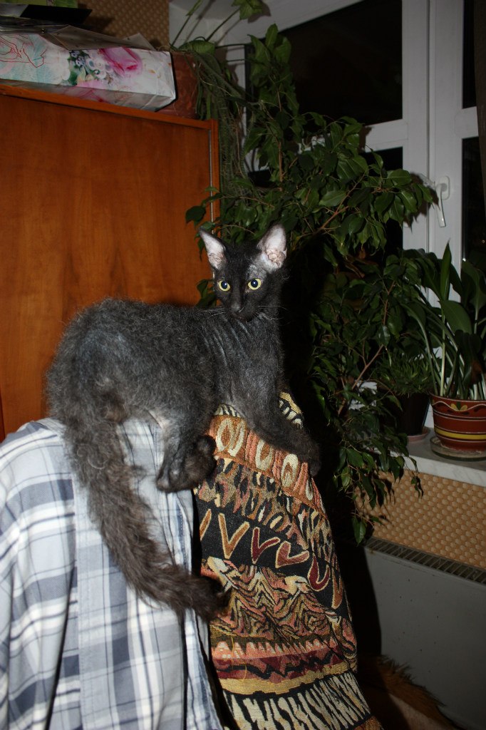 Татьяна Фатеева | Москва