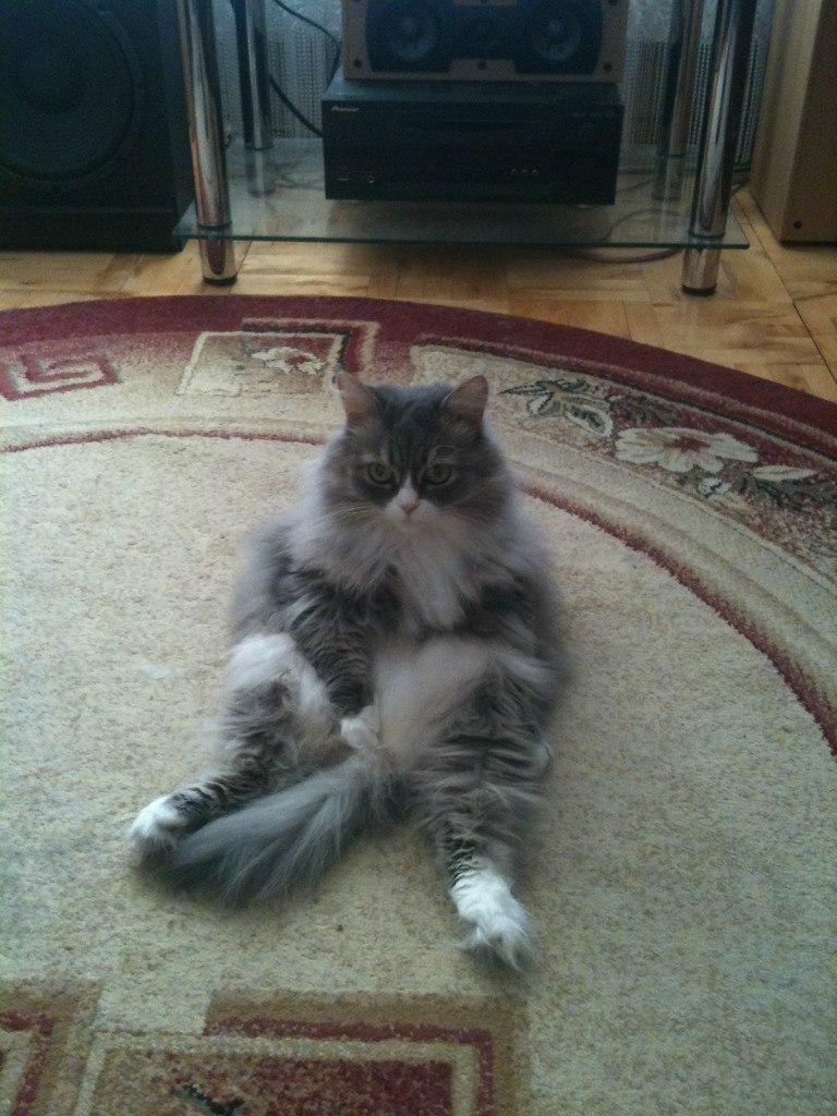 Сергей Скобелев | Ижевск