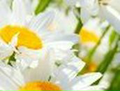 Юлия Кравцова | 