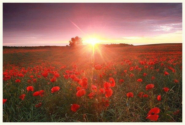 Эдик Терских | Москва