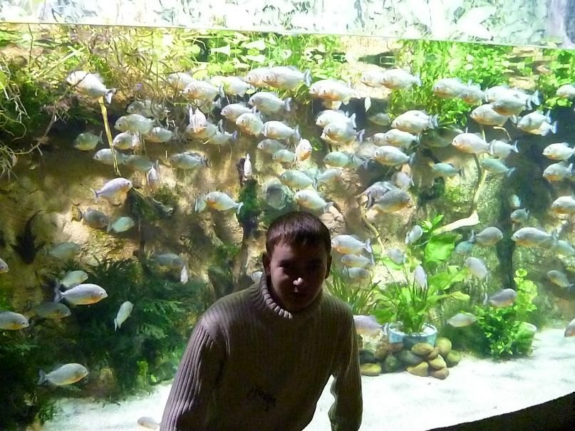 Эльвир Яруллин | Агрыз