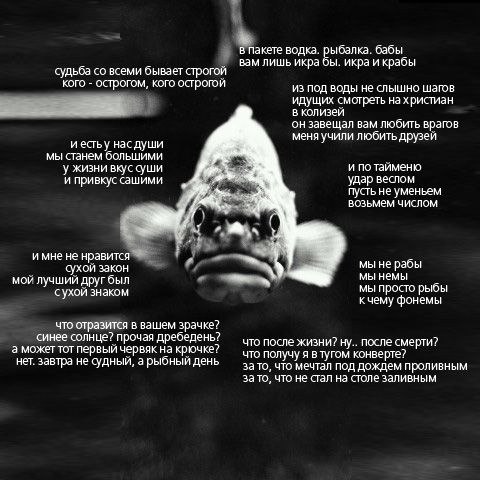 Елена Москвина | Ухта