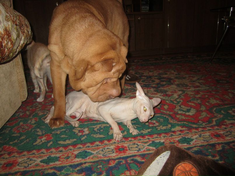 Игорь Неретин | Липецк