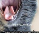 №19, Дина Гималединова №19, Дина Гималединова