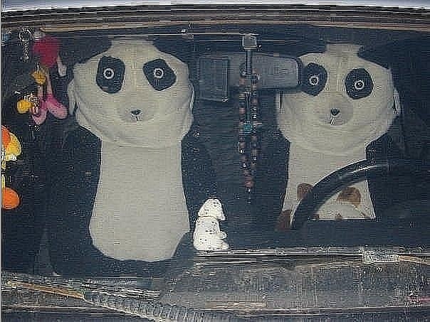 Ксюша Жданова | Санкт-Петербург