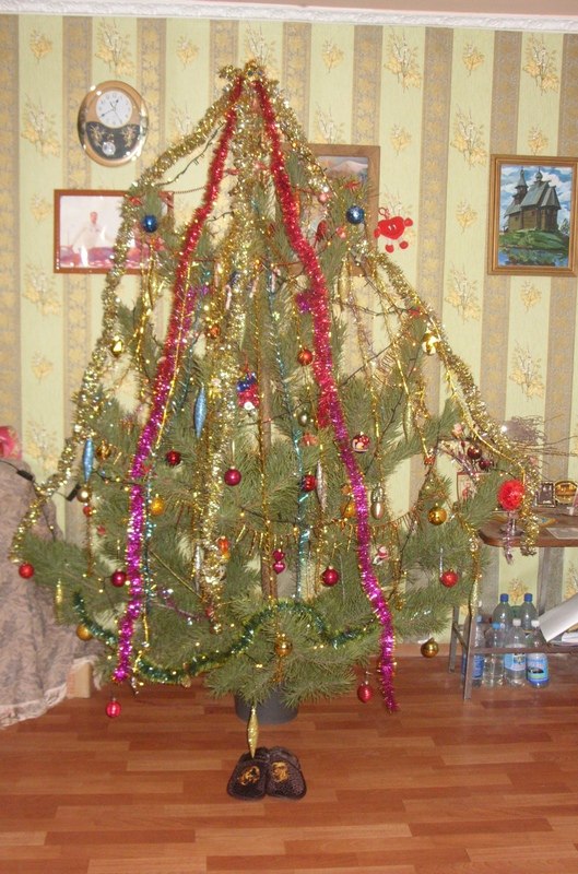 Виктория Юрченко | Новомосковск