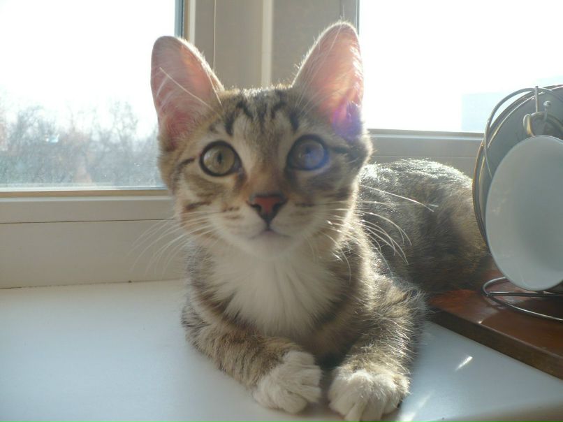 Евгений Жариков | Новосибирск