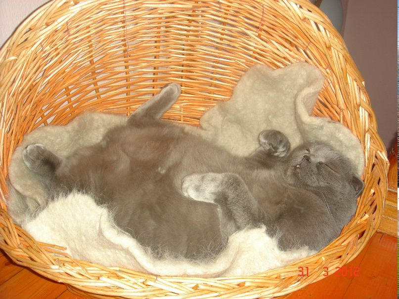 Екатерина Андреевна | Тобольск