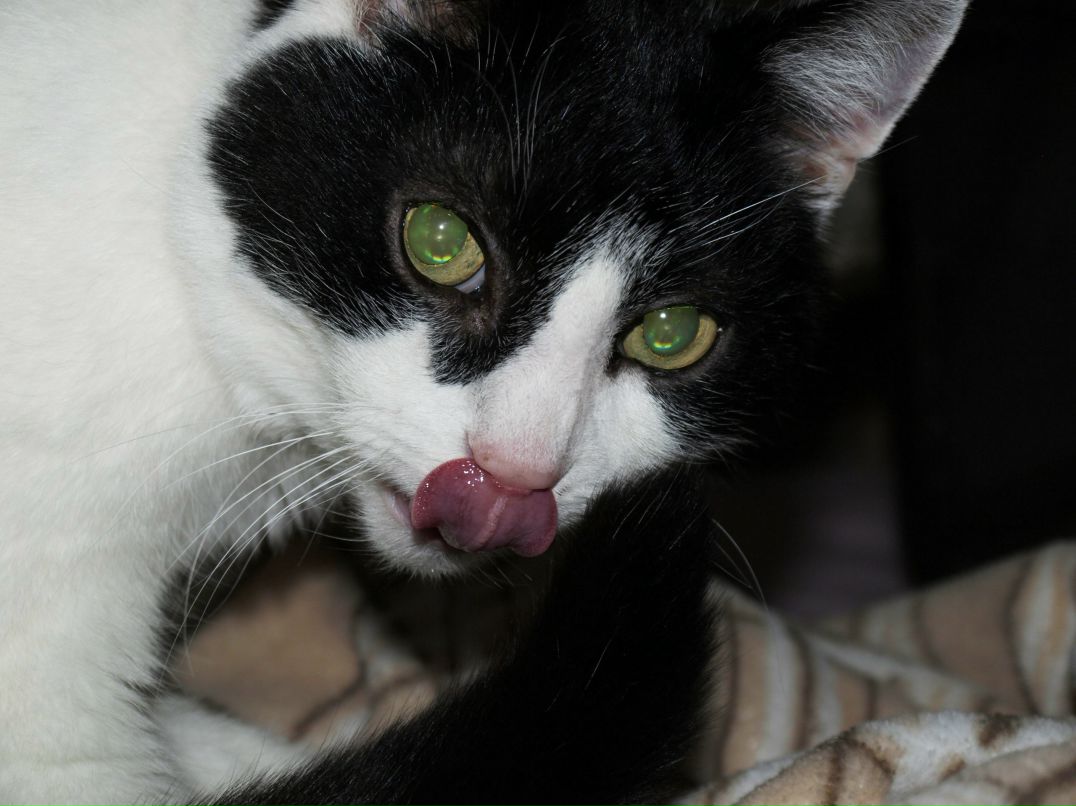 Анастасия Смирнова | Санкт-Петербург