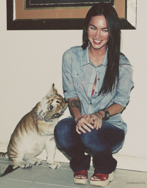 Wmorning Dragonfly † | Припять