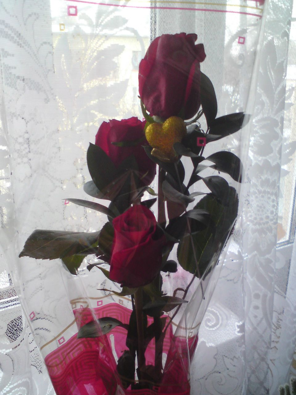 Ирина Климасёва | Санкт-Петербург