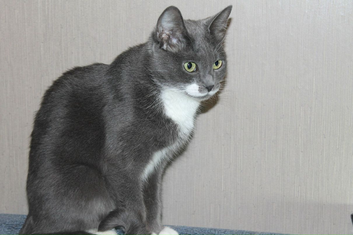 Юлия Александрова | 