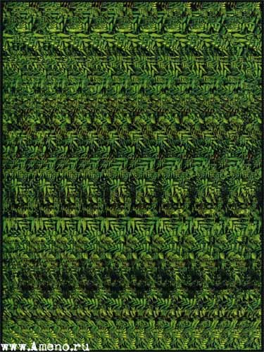 Насёнка Дудченко | Ольховец