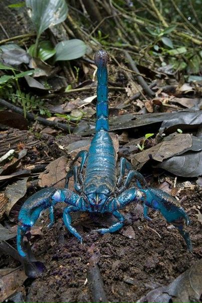 №117, Алексей Ивашин, Ура-Тюбе №117, Алексей Ивашин, Ура-Тюбе