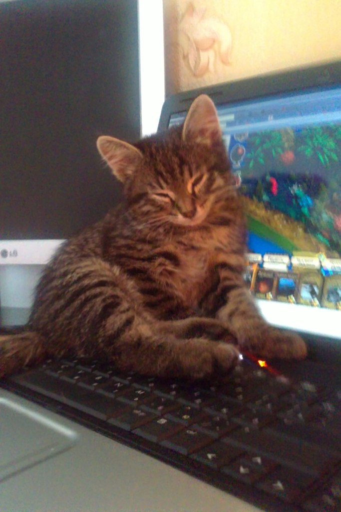 Оксана Хорошавина | Киров