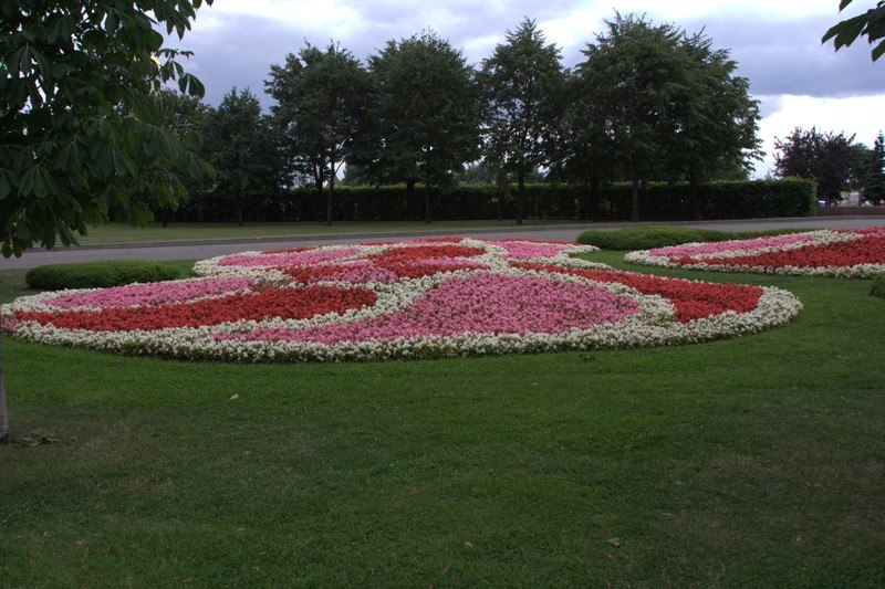 Дарина Сыровенко | Харьков