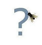 Илья Отрощенко | Тюмень