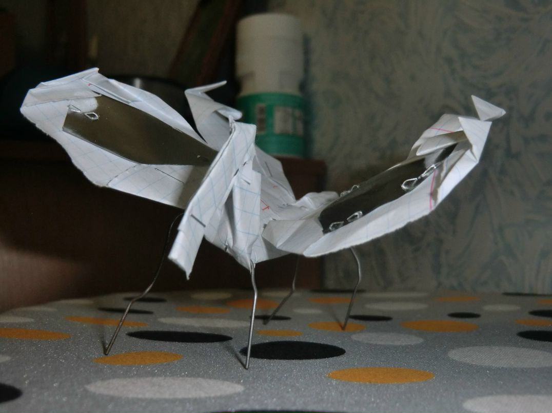 Алексей Кузнецов | Псков