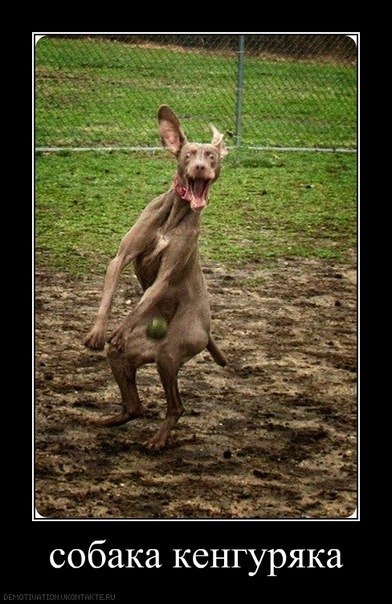 Юля Капелюшок | Киев