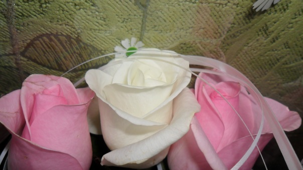 №51, Юлия Глушич, 35 лет, Донецк №51, Юлия Глушич, 35 лет, Донецк